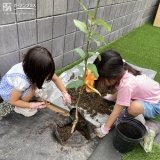 記念樹植樹の様子