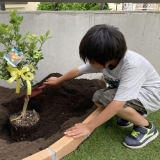 記念樹植樹の様子