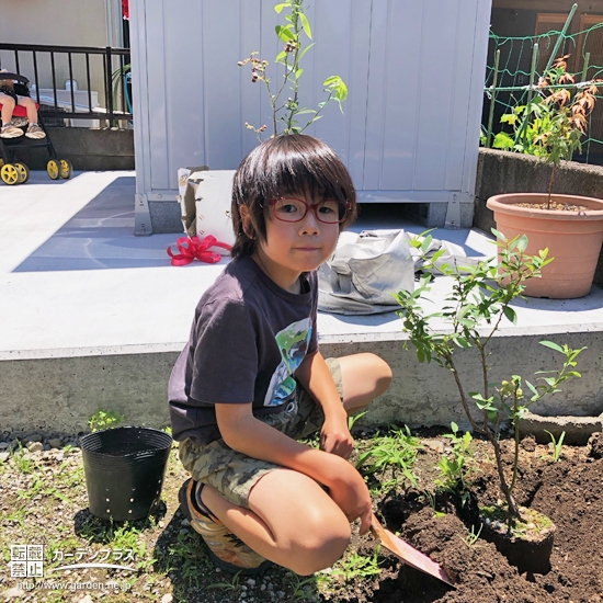 記念樹植樹の様子