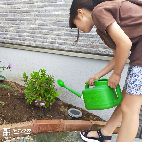 記念樹植樹の様子②