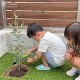 記念樹植樹の様子