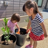 記念樹植樹の様子