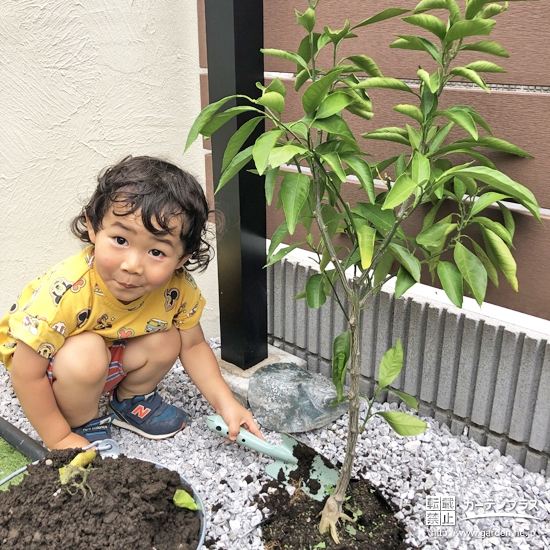 記念樹植樹の様子①