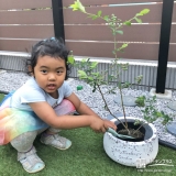 記念樹植樹の様子②