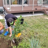 記念樹植樹の様子