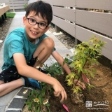 記念樹植樹の様子①