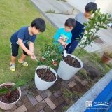 記念樹植樹の様子