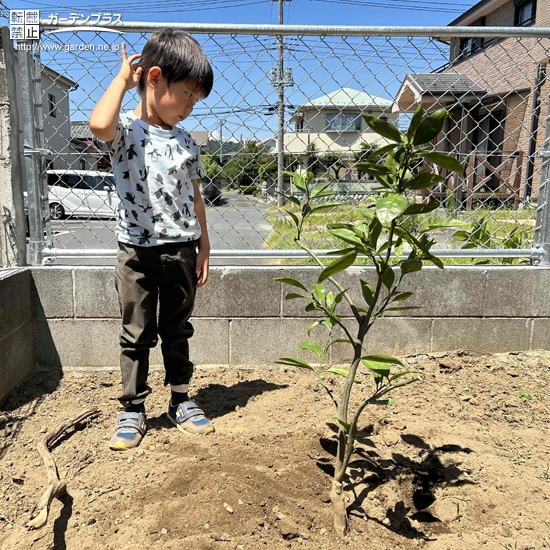 記念樹と記念撮影②