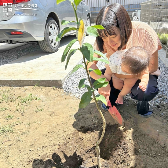 記念樹植樹の様子①