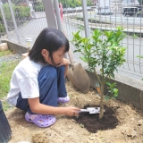 記念樹植樹の様子①