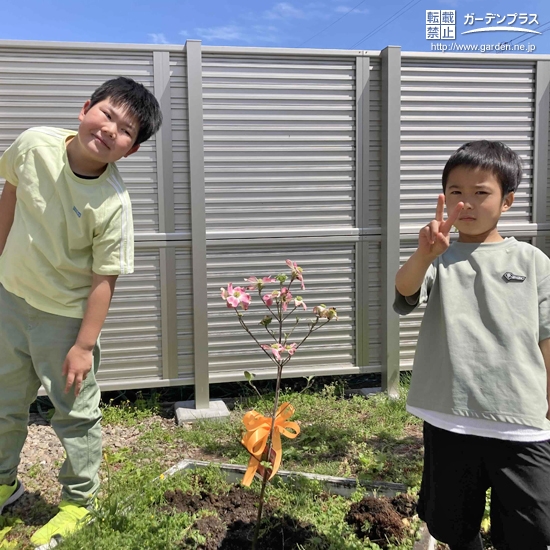 記念樹と記念撮影②