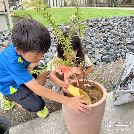 記念樹植樹の様子