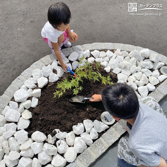 記念樹植樹の様子①