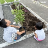 記念樹植樹の様子②