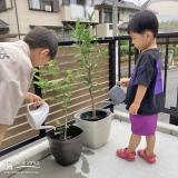 記念樹植樹の様子