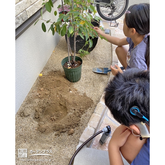 記念樹植樹の様子②