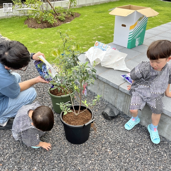 記念樹植樹の様子