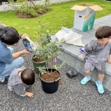 記念樹植樹の様子