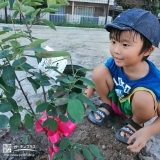 記念樹植樹の様子③