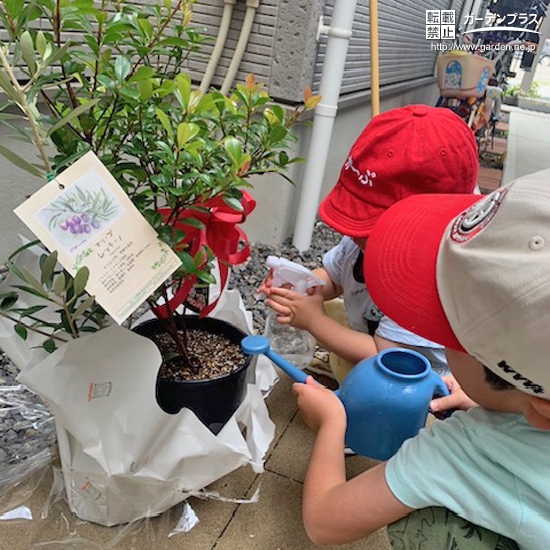 記念樹植樹の様子②