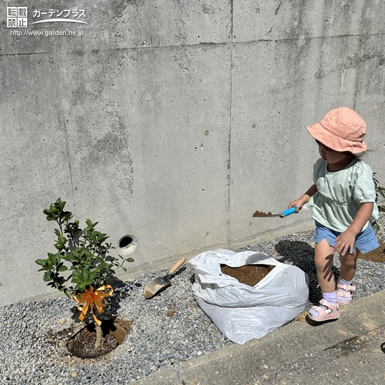 記念樹植樹の様子