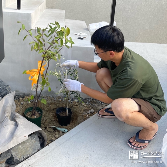 記念樹植樹の様子