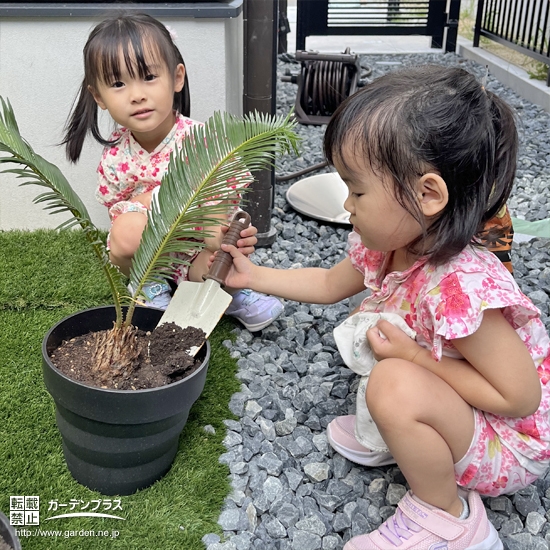 記念樹植樹の様子