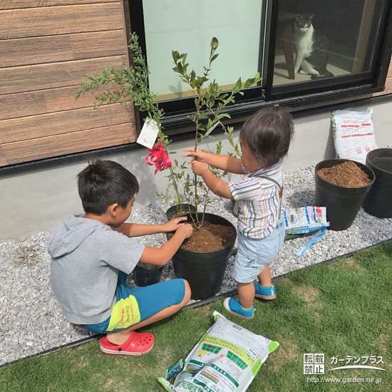 記念樹植樹の様子