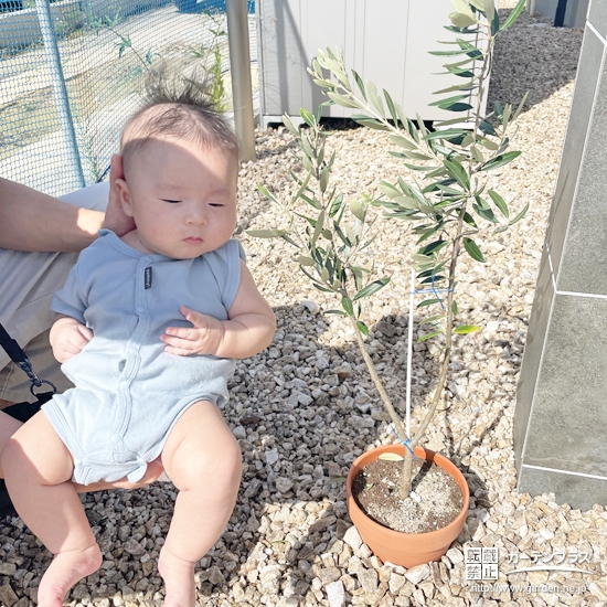 記念樹と記念撮影②