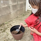 記念樹植樹の様子