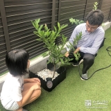 記念樹植樹の様子