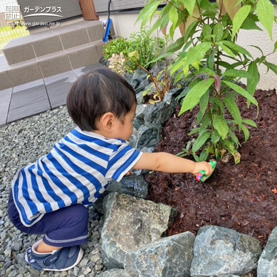 記念樹植樹の様子