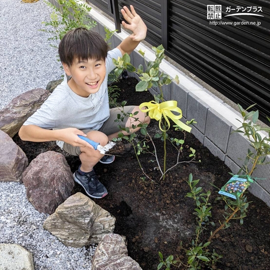 記念樹植樹の様子