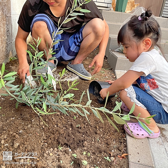 記念樹植樹の様子