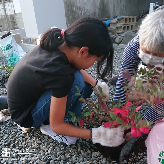 記念樹植樹の様子②