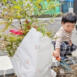 記念樹のナンテン植樹の様子