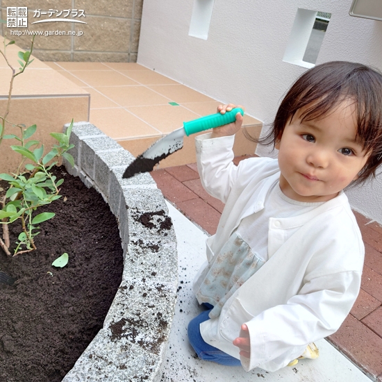 記念樹植樹の様子①