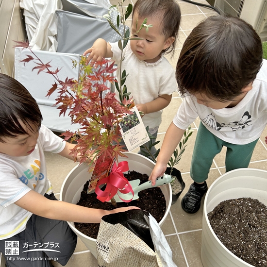 記念樹植樹の様子①