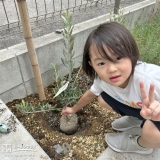 記念樹植樹の様子②