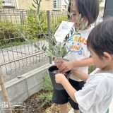 記念樹植樹の様子③