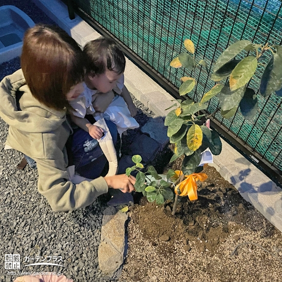 記念樹植樹の様子②