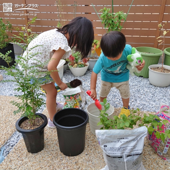 記念樹植樹の様子