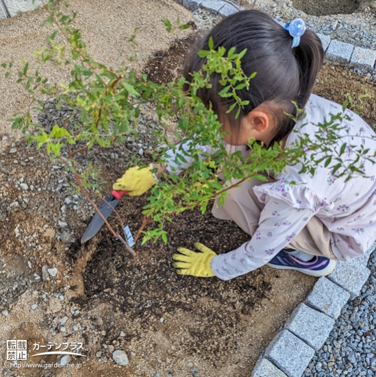 記念樹植樹の様子①