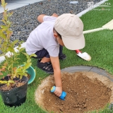 記念樹植樹の様子