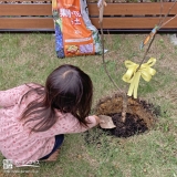 記念樹植樹の様子