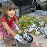 記念樹植樹の様子①