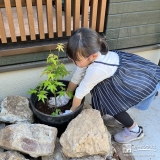 記念樹植樹の様子②