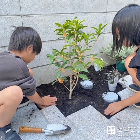 記念樹植樹の様子