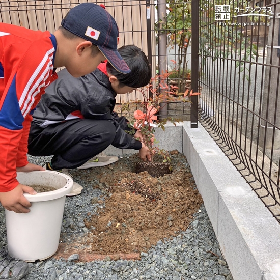 記念樹植樹の様子①