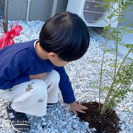 記念樹植樹の様子